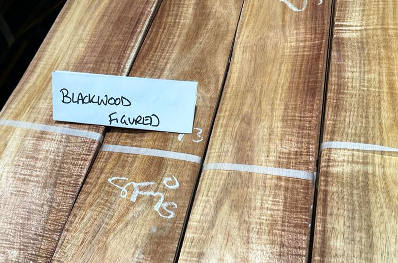 タスマニアンブラックウッドとは – タスマニアンブラックウッドの